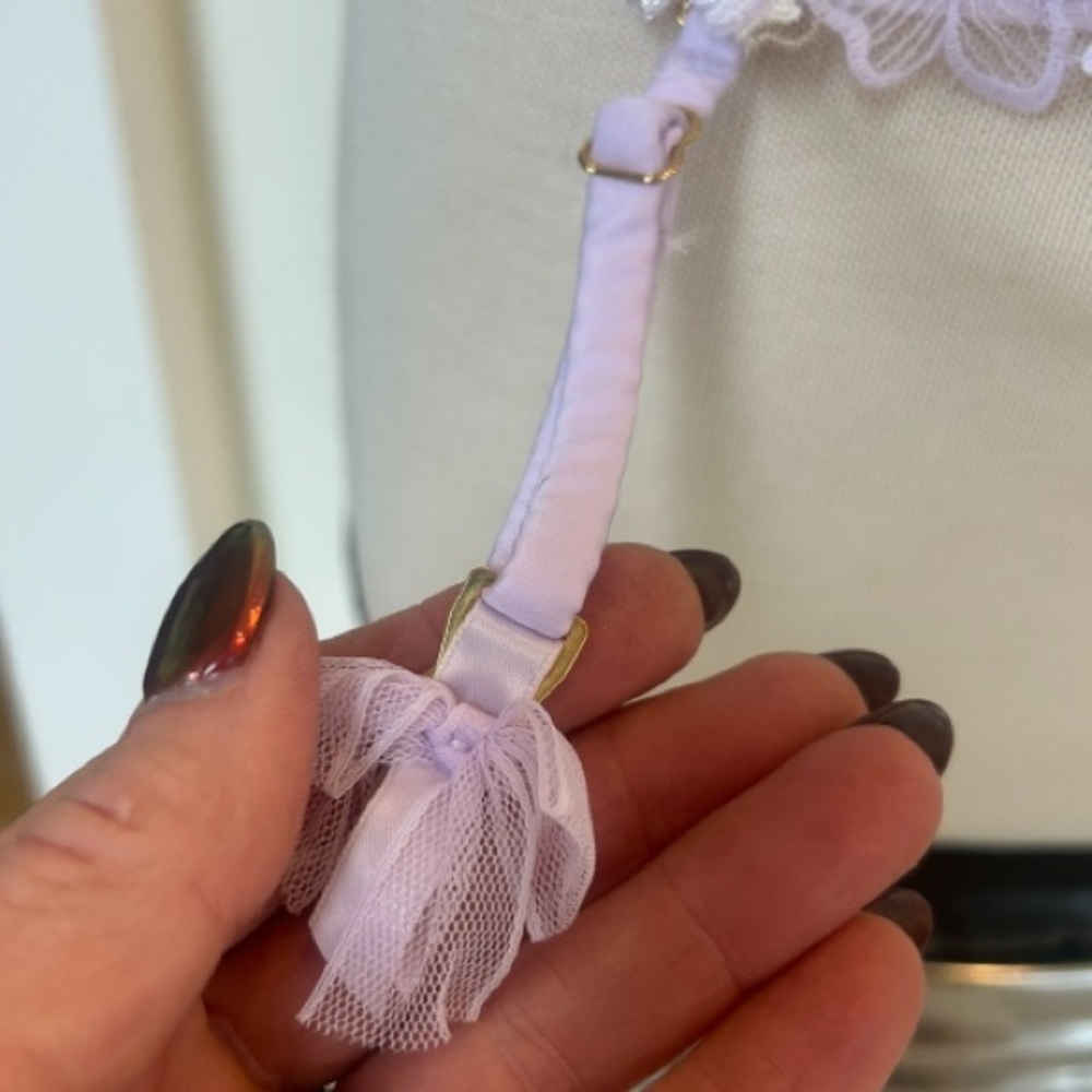 Victoria's Secret Lavender Floral Embroidered Bustier - Picture 7 of 14